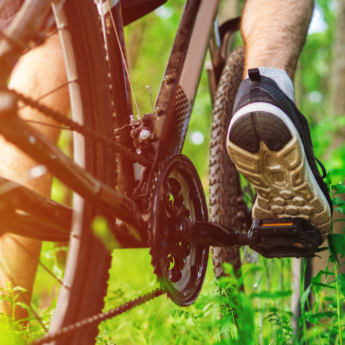 Understanding Pedal Assist on E-Bikes