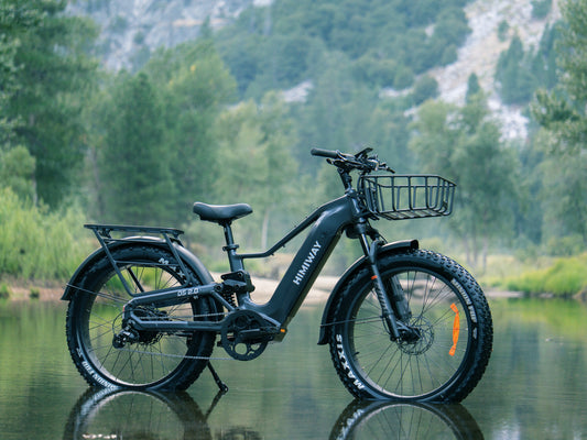 D5 2.0 Step-Over Ebike by Himiway