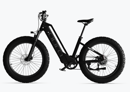 Aura Step-Through Fat Tire Ebike by Cyrusher