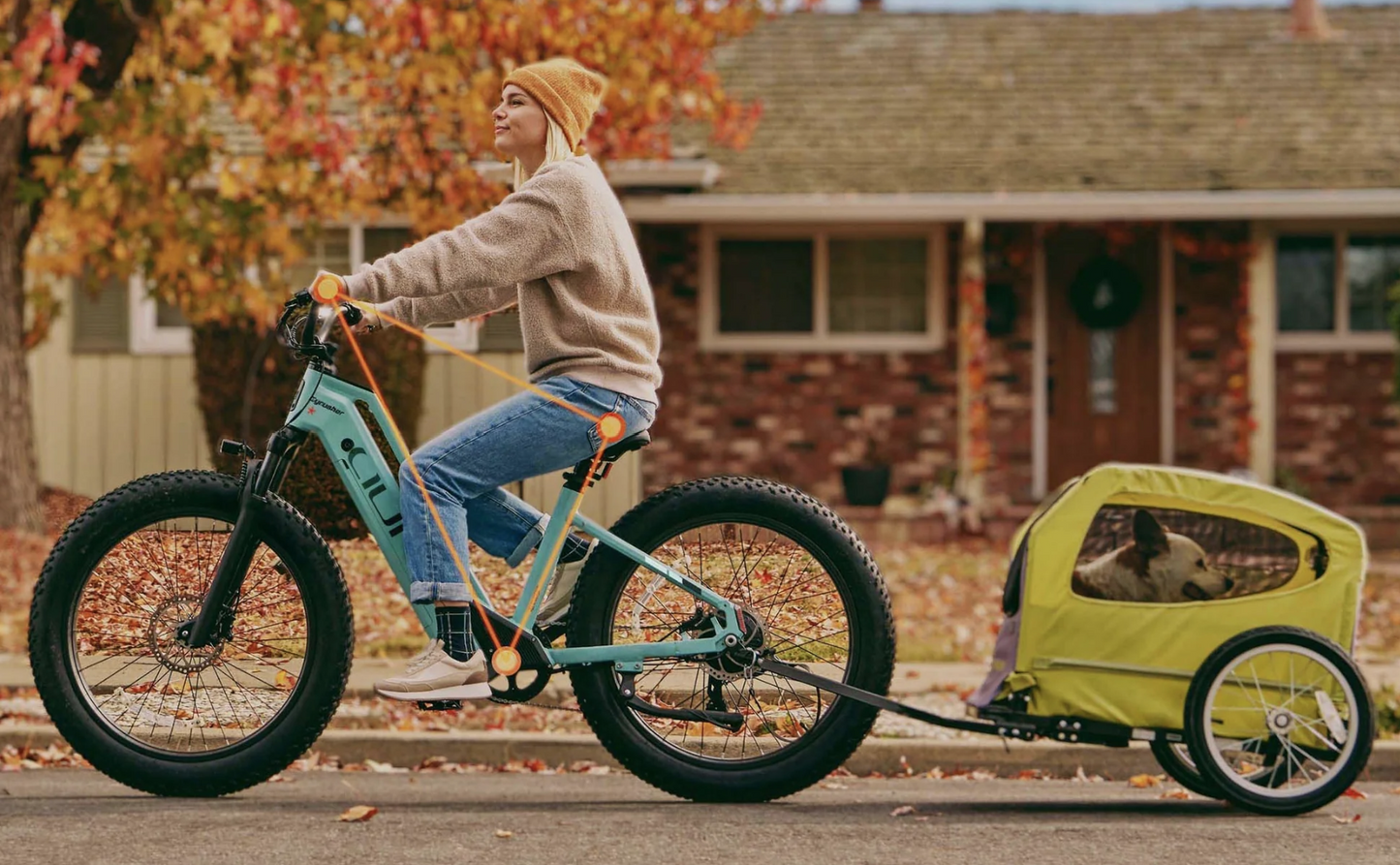 Aura Step-Through Fat Tire Ebike by Cyrusher