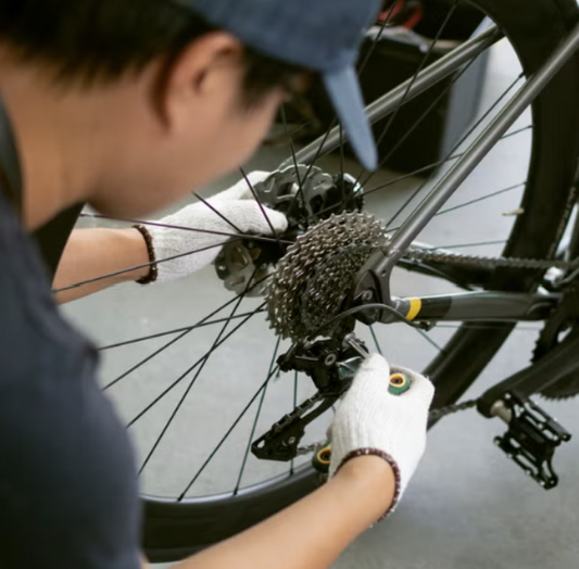 Free Assembly Service ($150 value)