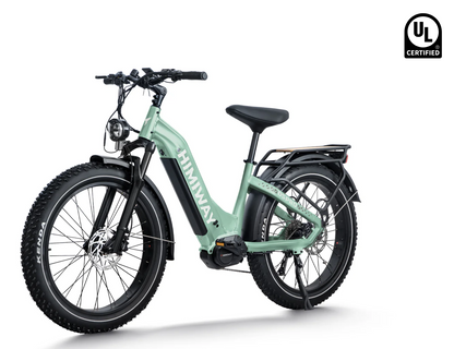 D5 Pro ST (Step-Through) All-Terrain Fat Tire by Himiway
