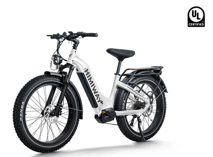 D5 Pro ST (Step-Through) All-Terrain Fat Tire by Himiway