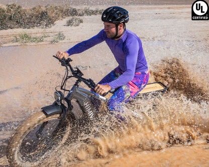 D5 Pro All-Terrain Fat Tire Ebike by Himiway