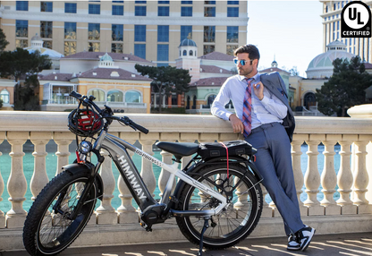 D5 Pro All-Terrain Fat Tire Ebike by Himiway