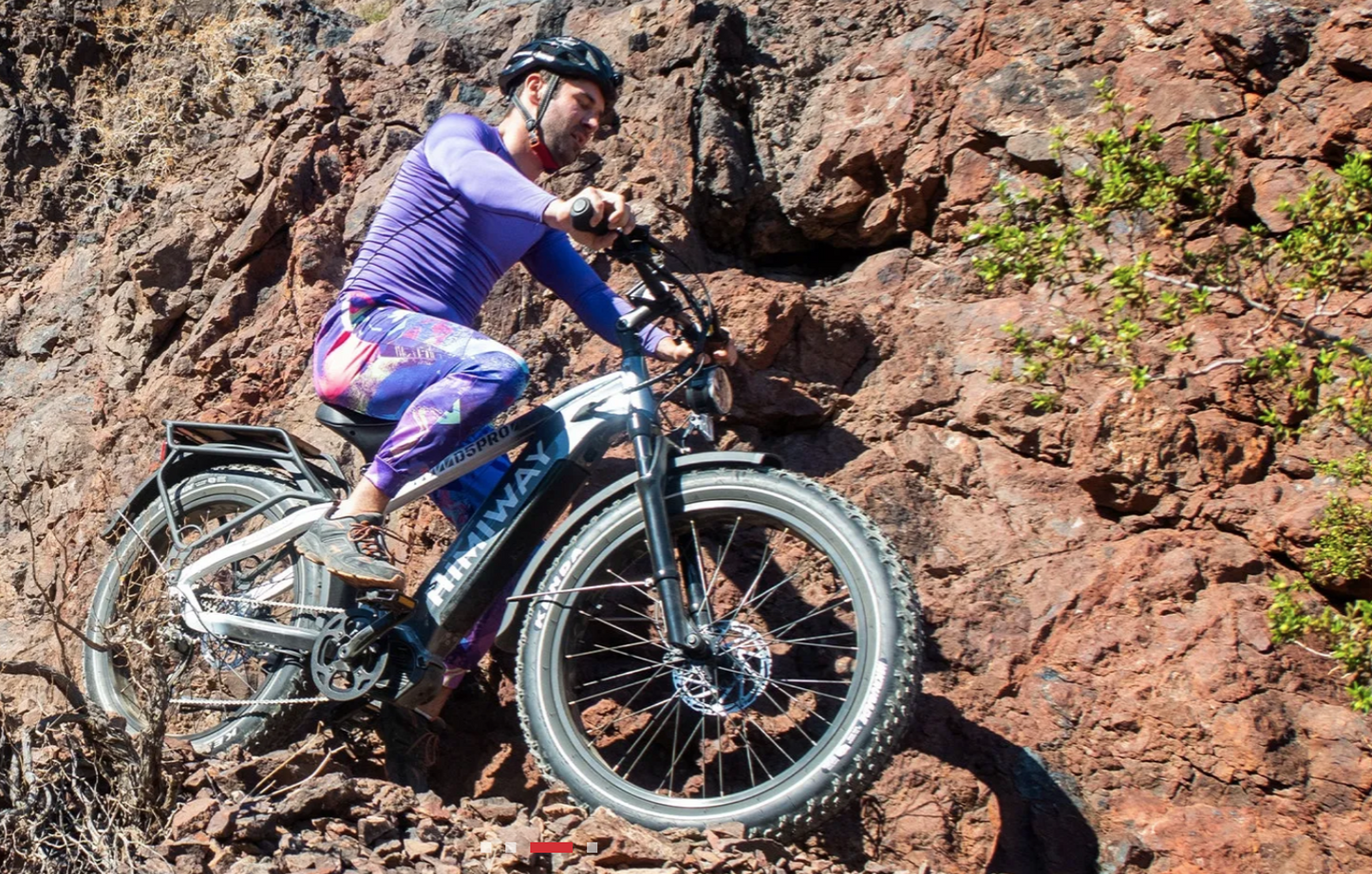 D5 Pro All-Terrain Fat Tire Ebike by Himiway