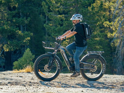 D5 2.0 Step-Over Ebike by Himiway