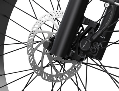 D5 Pro ST (Step-Through) All-Terrain Fat Tire by Himiway
