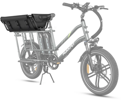 Back Basket or Handrail for Safely bringing the kids