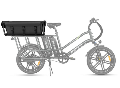 Back Basket or Handrail for Safely bringing the kids