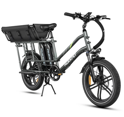 Back Basket or Handrail for Safely bringing the kids