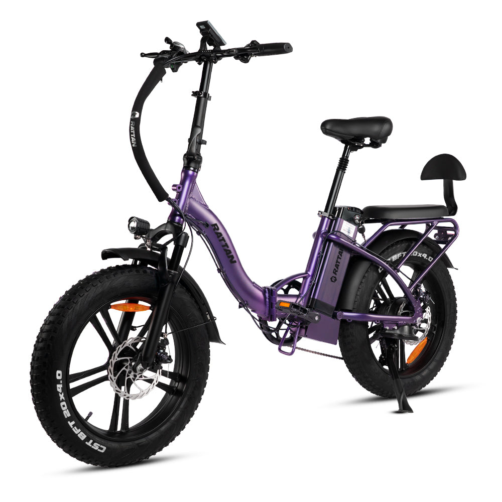 LF 750 Pro by Rattan Ebikes