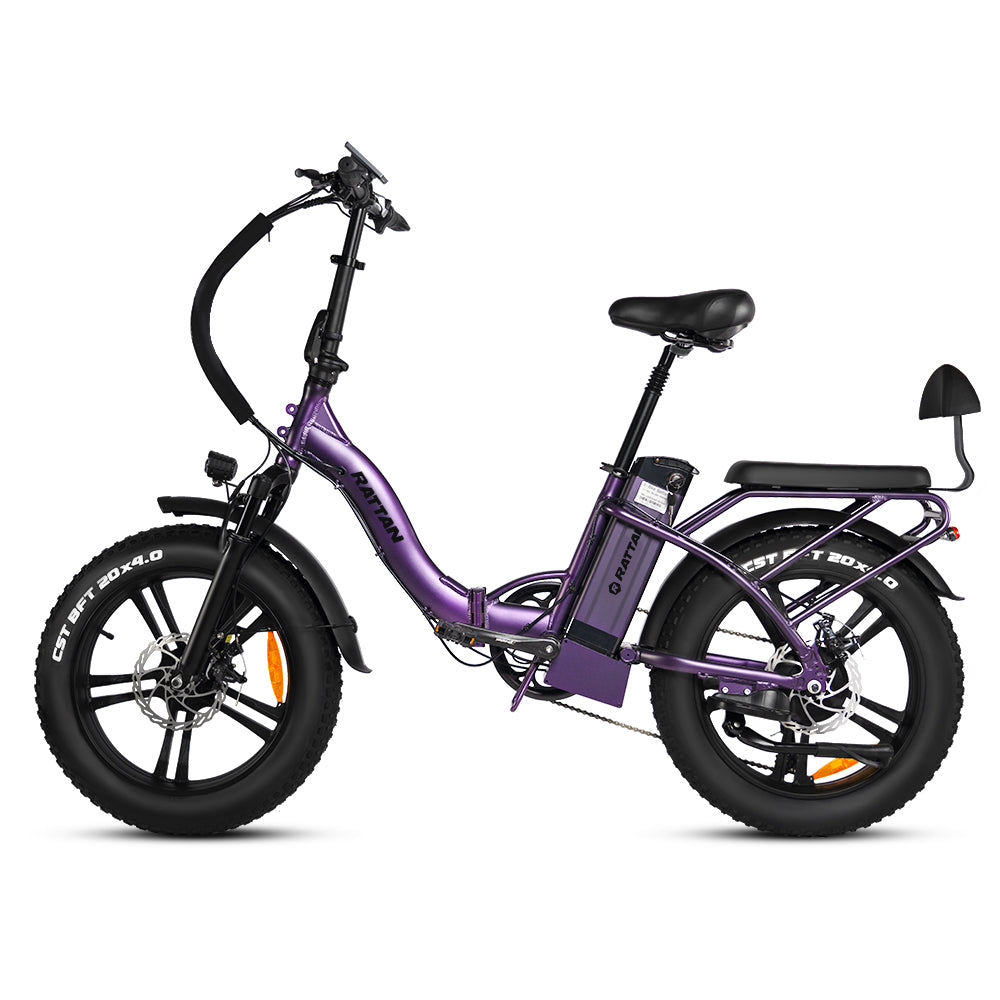 LF 750 Pro by Rattan Ebikes