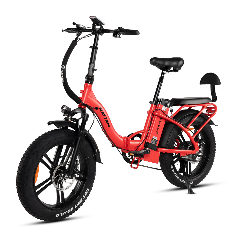 LF 750 Pro by Rattan Ebikes