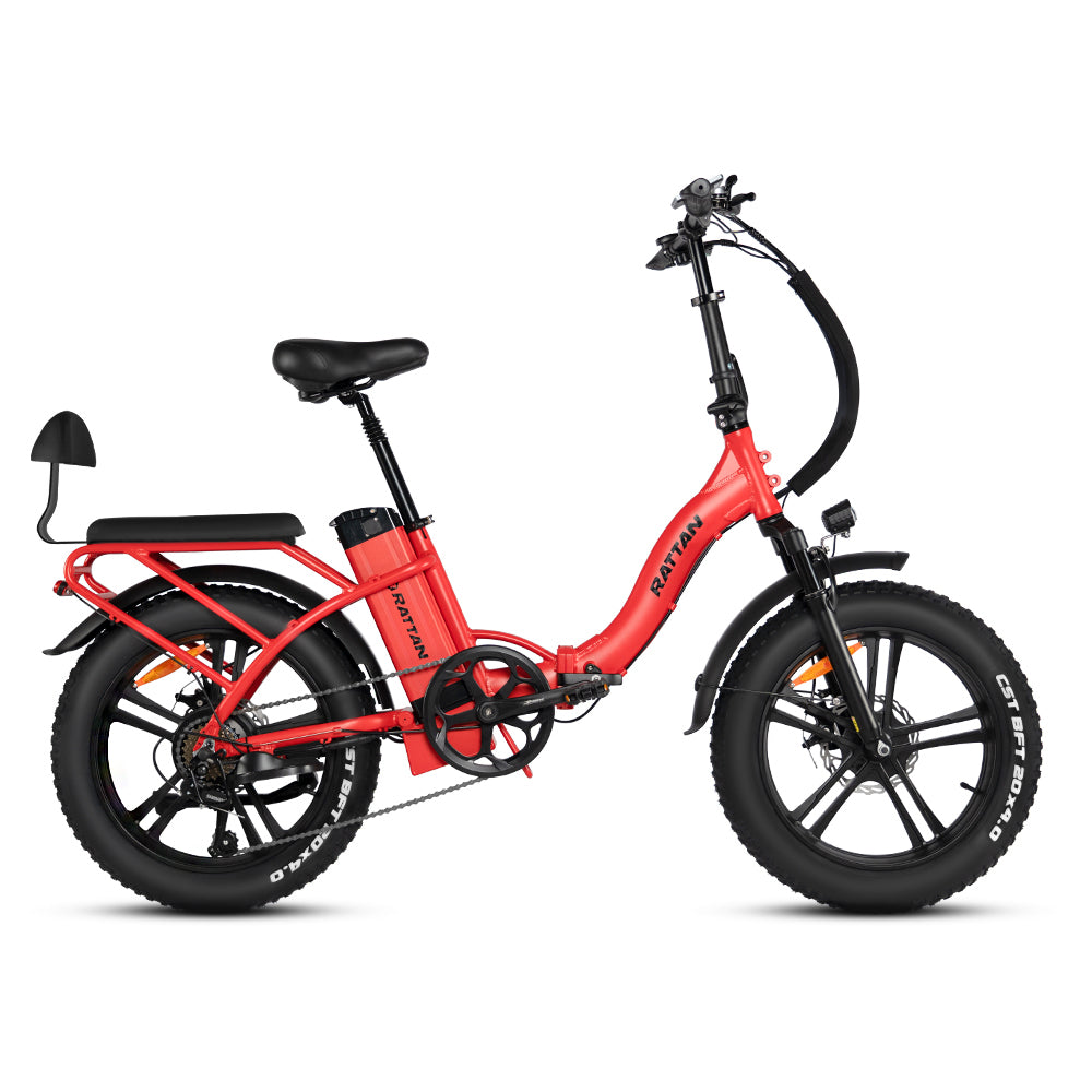 LF 750 Pro by Rattan Ebikes