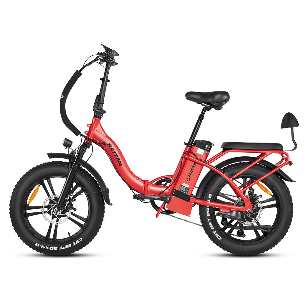 LF 750 Pro by Rattan Ebikes