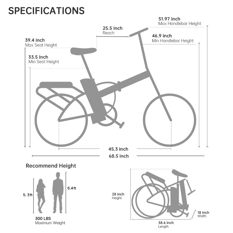 LF 750 Pro by Rattan Ebikes