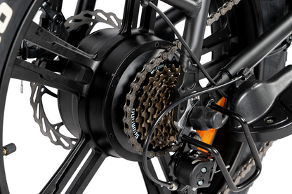 LM 750 Pro by Rattan Ebikes