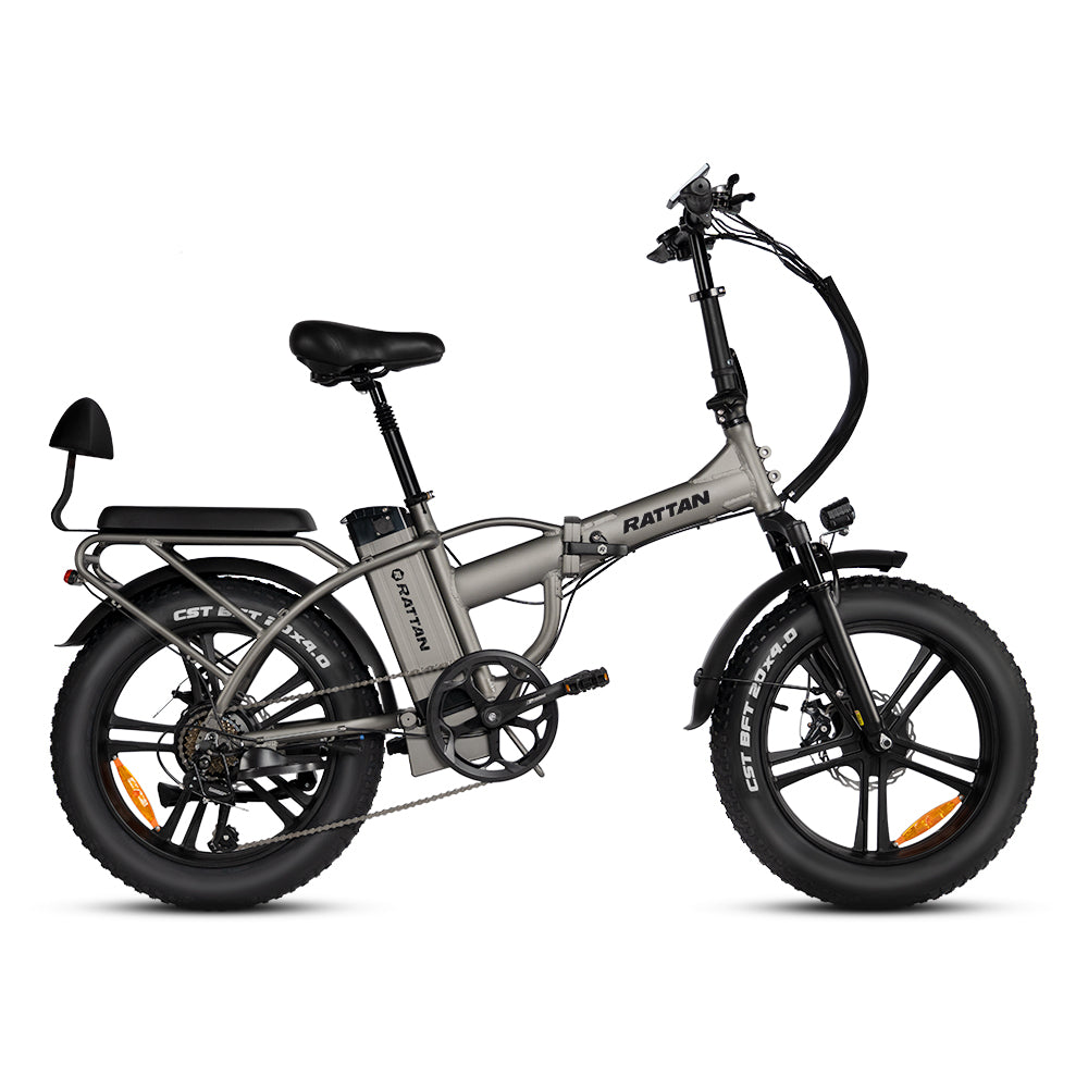 LM 750 Pro by Rattan Ebikes