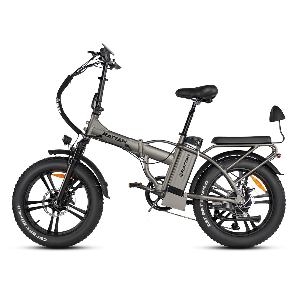 LM 750 Pro by Rattan Ebikes