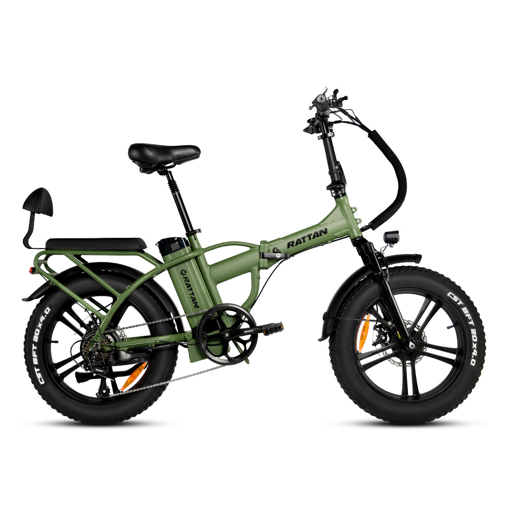 LM 750 Pro by Rattan Ebikes