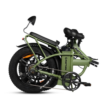 LM 750 Pro by Rattan Ebikes