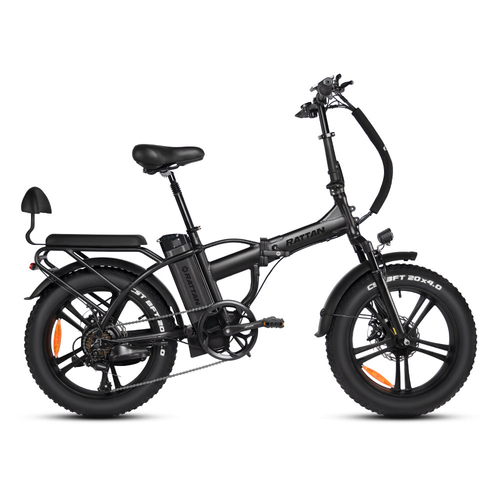 LM 750 Pro by Rattan Ebikes