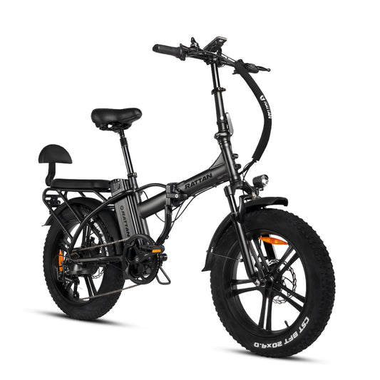 LM 750 Pro by Rattan Ebikes