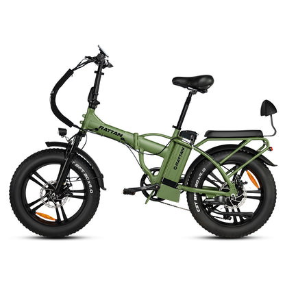 LM 750 Pro by Rattan Ebikes