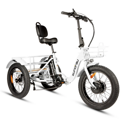 New Trike 2.0
