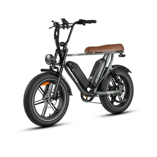 Ninja by Mukkpet Ebikes
