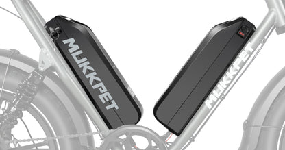 Ninja by Mukkpet Ebikes