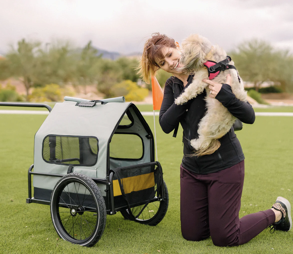 Pet Bike Trailer by Nakto