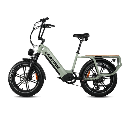 Quercus by Rattan Ebikes