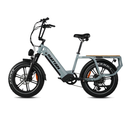 Quercus by Rattan Ebikes