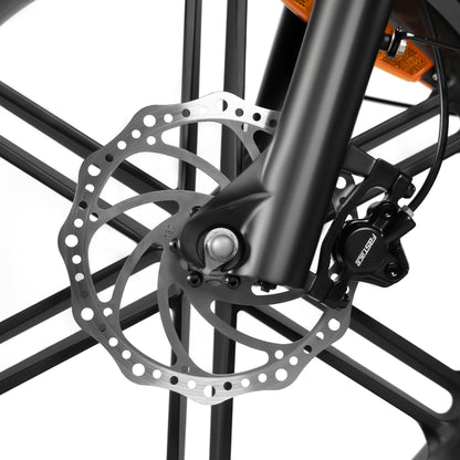 Quercus by Rattan Ebikes