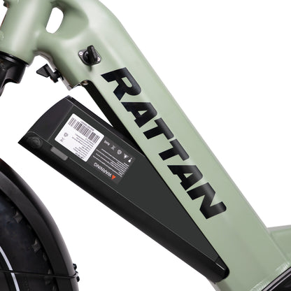 Quercus by Rattan Ebikes