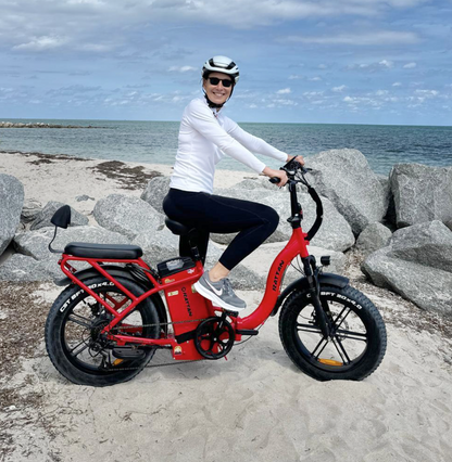 LF Ultra by Rattan Ebikes