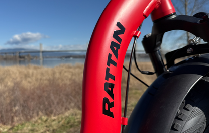 LF Ultra by Rattan Ebikes
