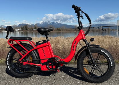 LF Ultra by Rattan Ebikes