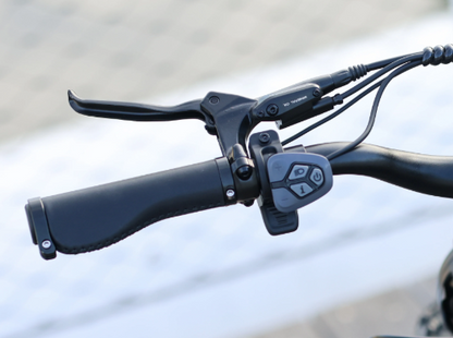 Sequoia by Rattan Ebikes
