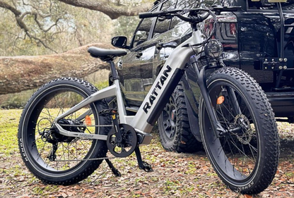 Sequoia by Rattan Ebikes