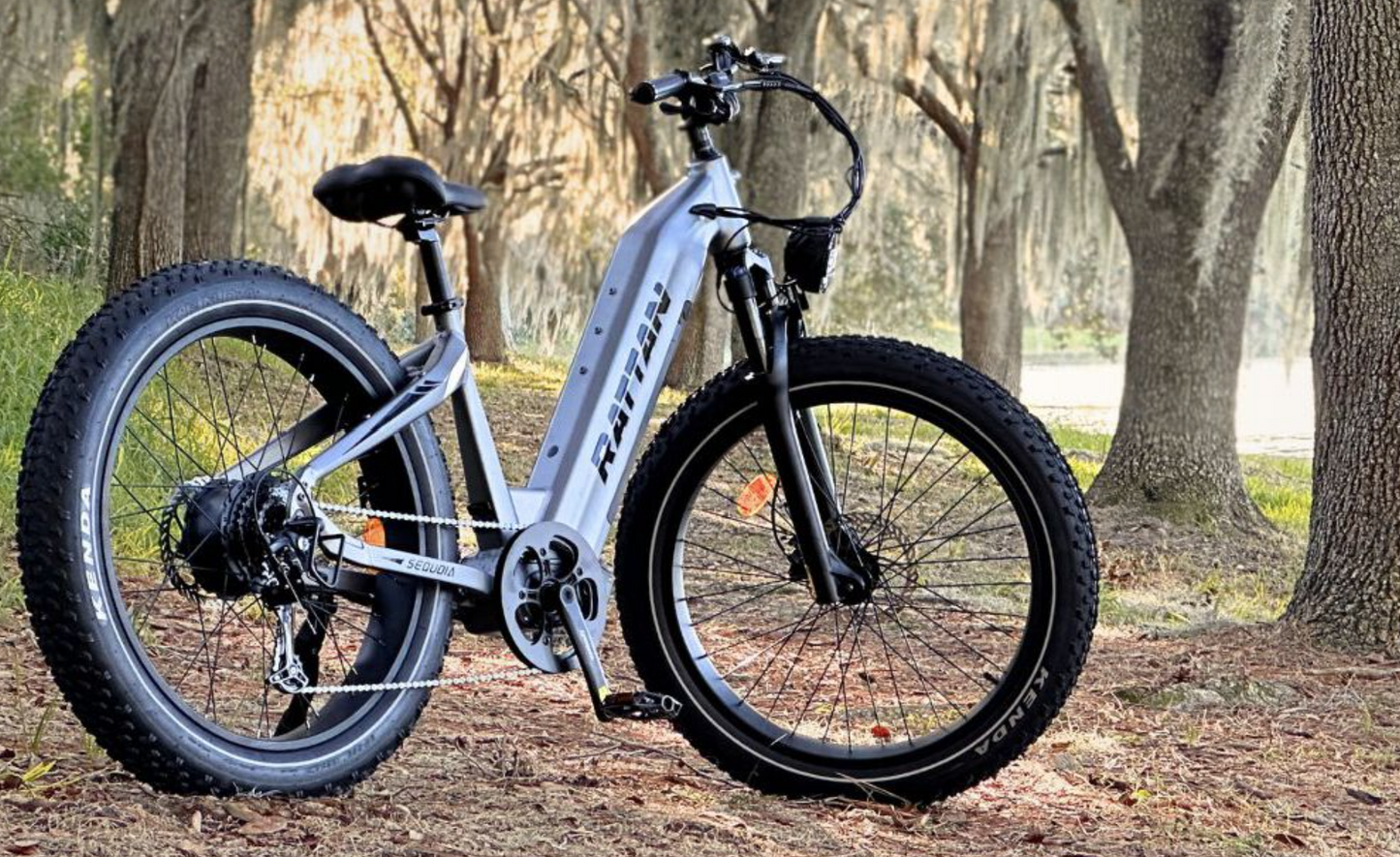 Sequoia by Rattan Ebikes