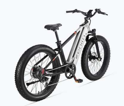 Zenith Fat Tire E-Bike by Cyrusher