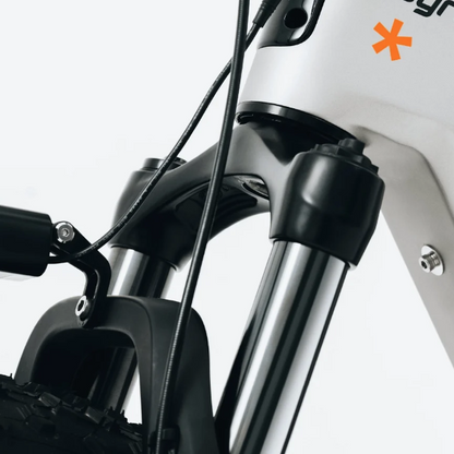 Zenith Fat Tire E-Bike by Cyrusher