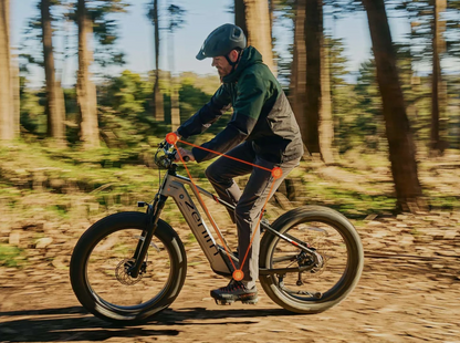 Zenith Fat Tire E-Bike by Cyrusher