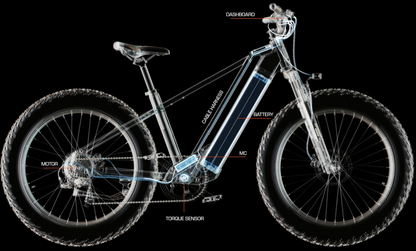 Zenith Fat Tire E-Bike by Cyrusher