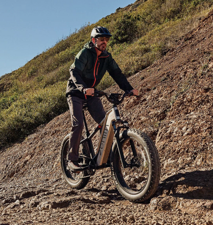 Zenith Fat Tire E-Bike by Cyrusher