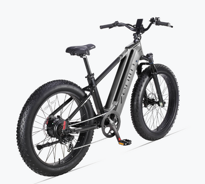 Zenith Fat Tire E-Bike by Cyrusher